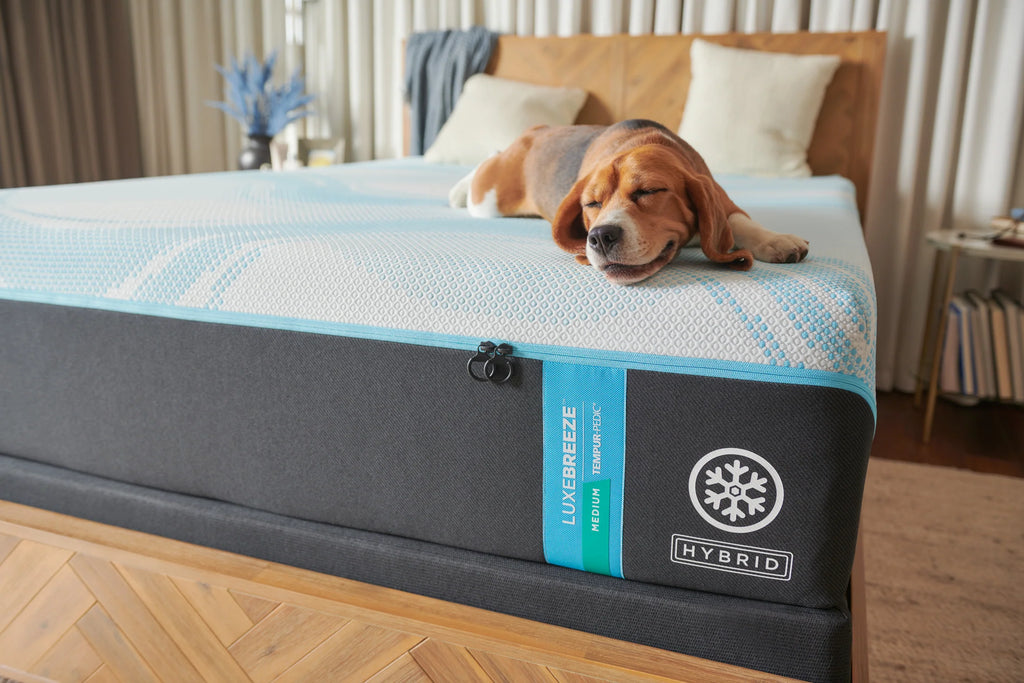 Tempur-Pedic TEMPUR-LuxeBreeze® Medium Hybrid 13" Mattress 2.0