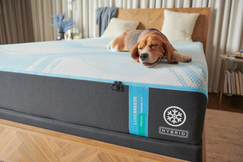 Tempur-Pedic TEMPUR-LuxeBreeze® Medium Hybrid 13" Mattress 2.0